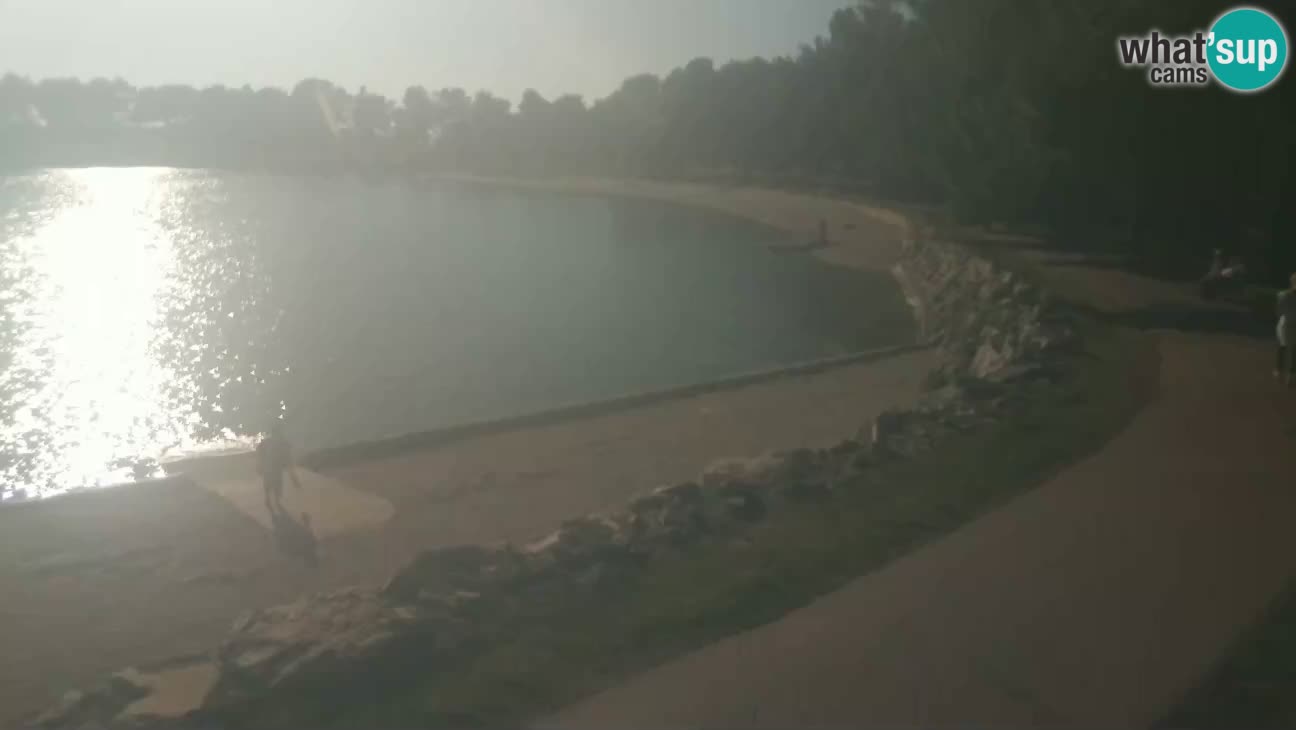 Novigrad – Plage Karpinjan