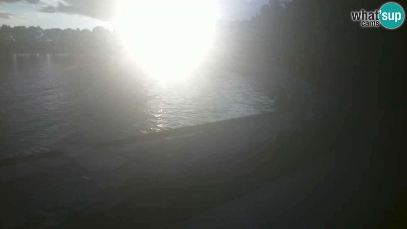 Novigrad – Strand Karpinjan webcam