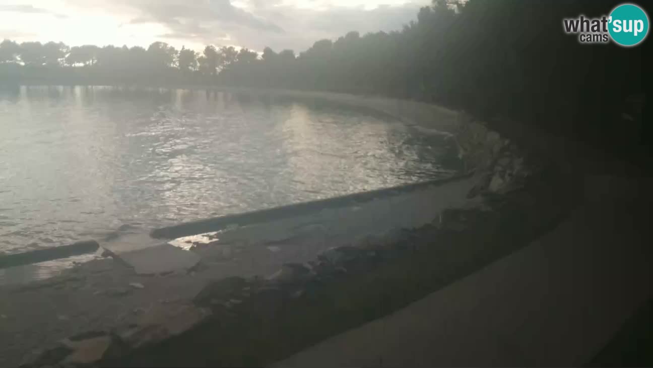 Novigrad live cam – Karpinjan beach