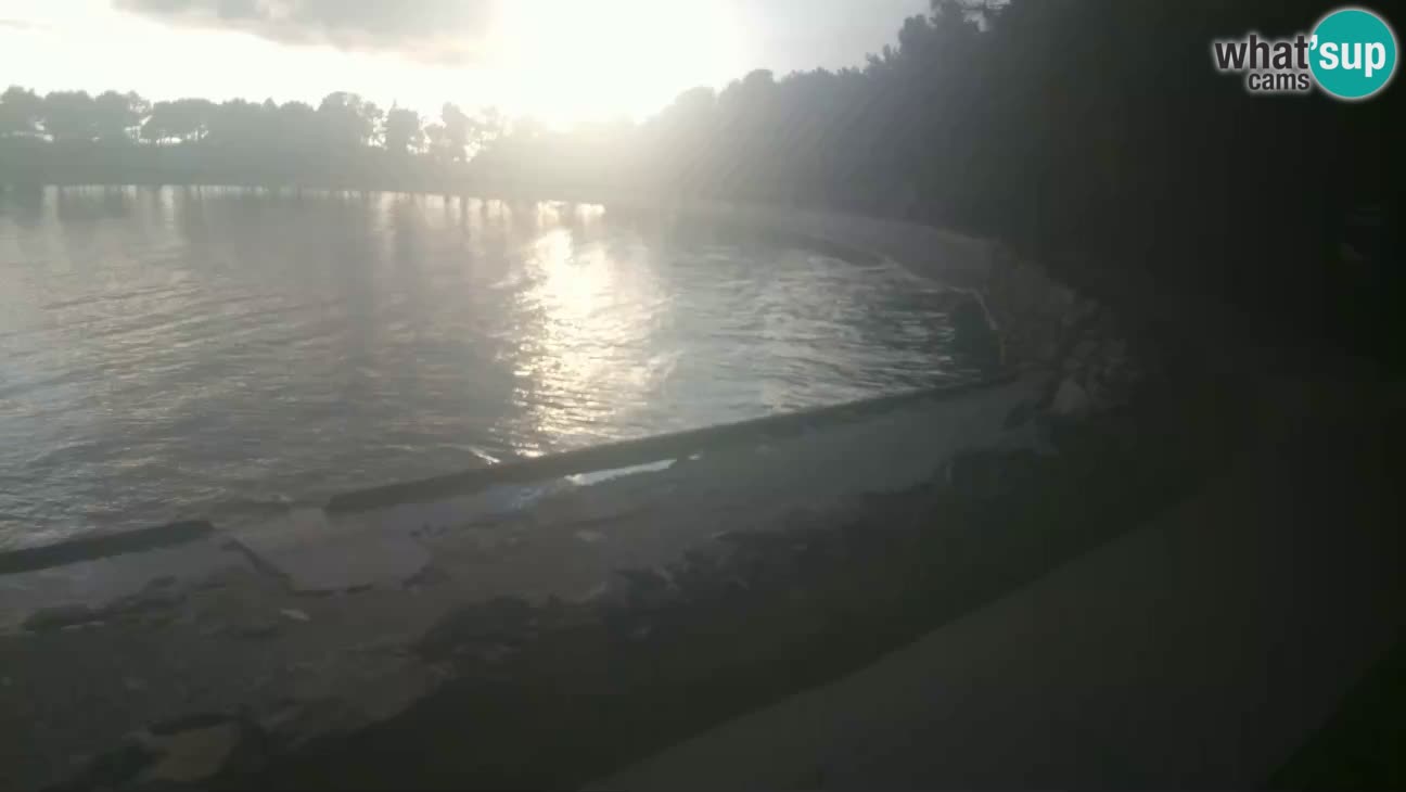 Novigrad – Plaža Karpinjan