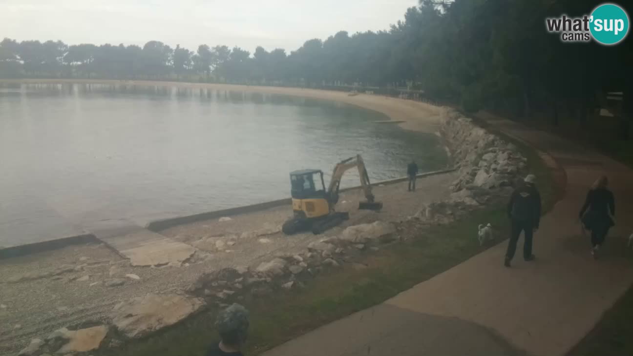 Novigrad live cam – Karpinjan beach