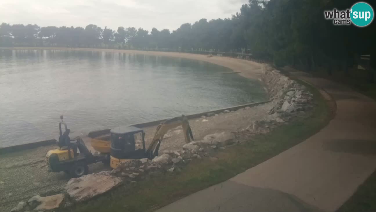 Novigrad live cam – Karpinjan beach