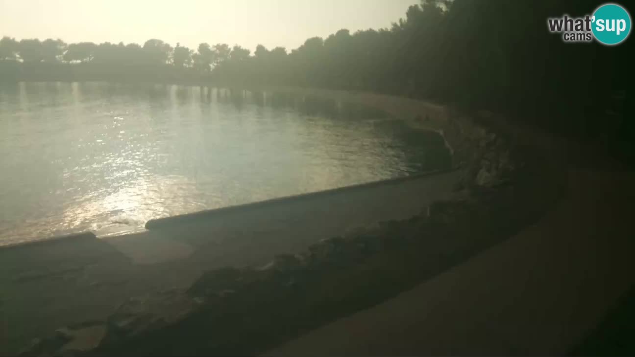 Novigrad live cam – Karpinjan beach