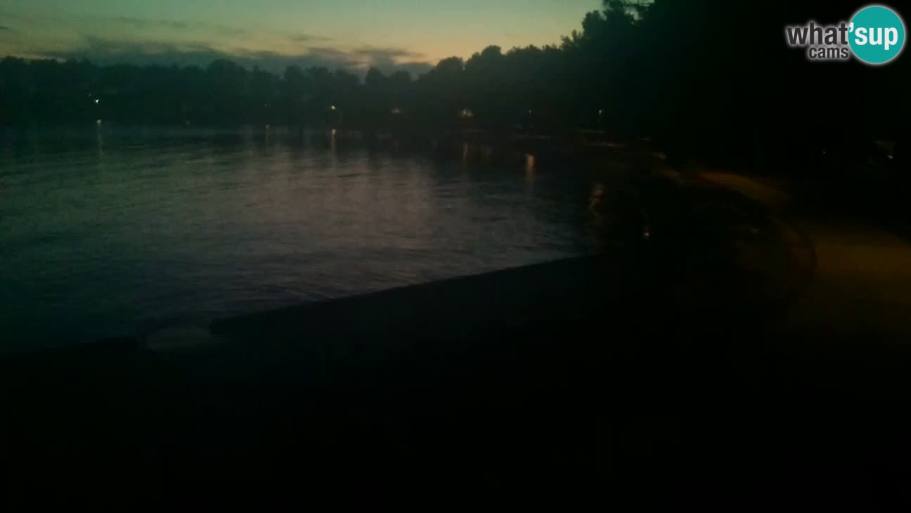 Novigrad live cam – Karpinjan beach