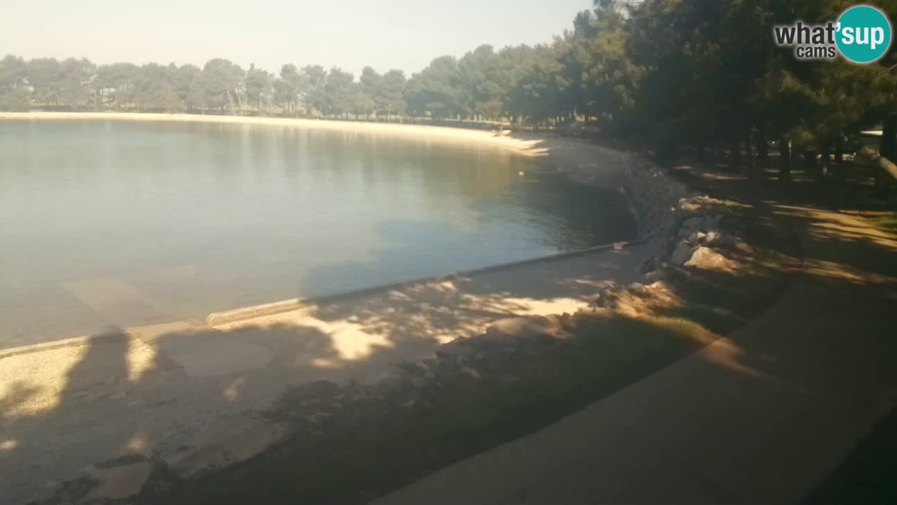 Novigrad – Plaža Karpinjan