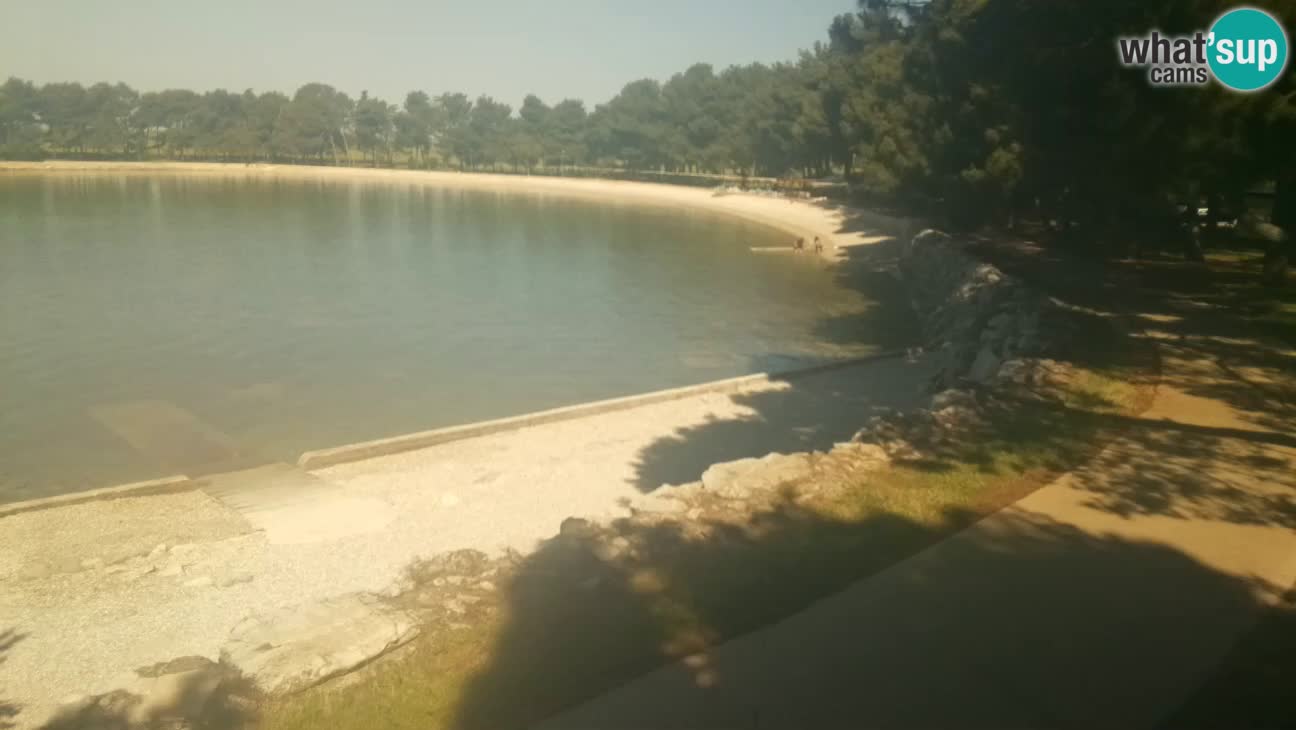Novigrad – Playa Karpinjan