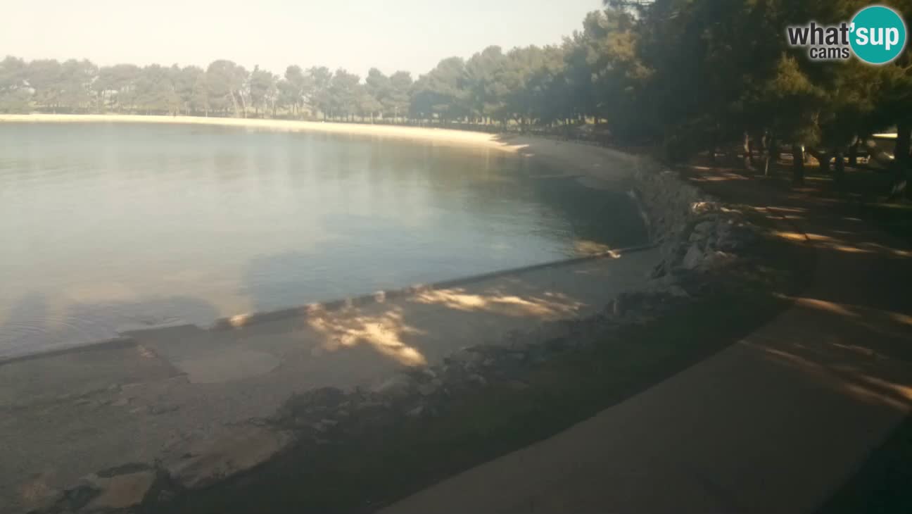 Novigrad – Strand Karpinjan webcam