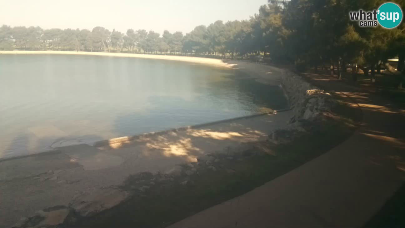 Novigrad – Plage Karpinjan