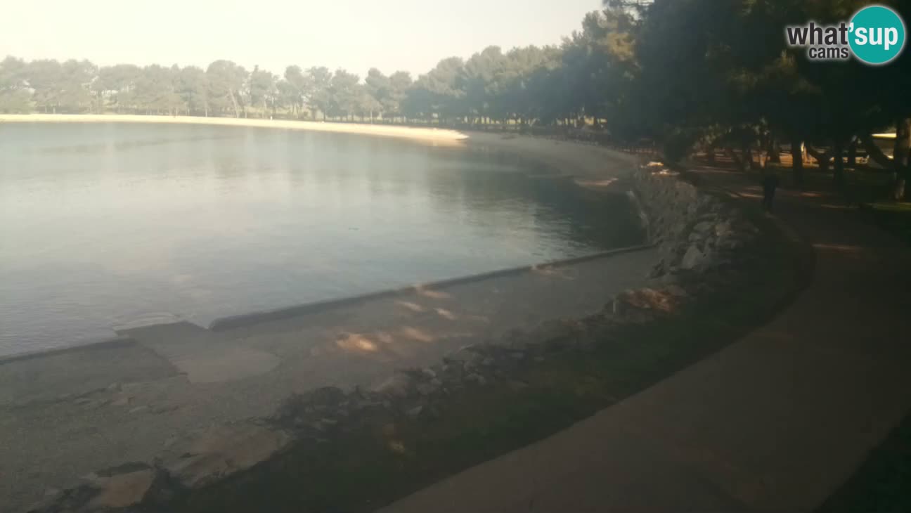 Novigrad – Playa Karpinjan