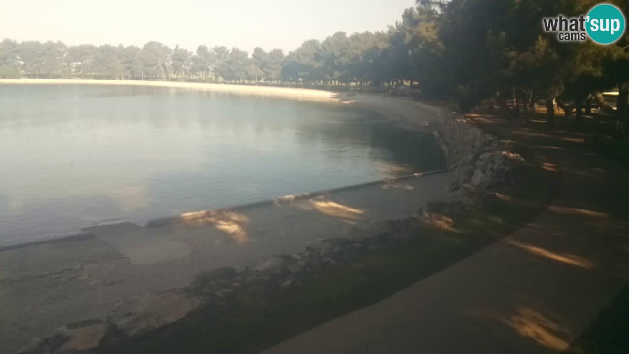 Novigrad live cam – Karpinjan beach
