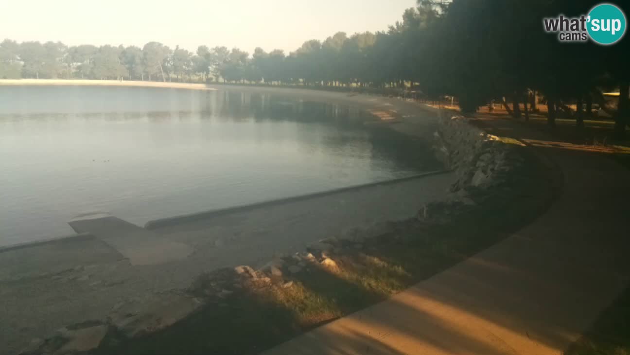 Novigrad – Playa Karpinjan