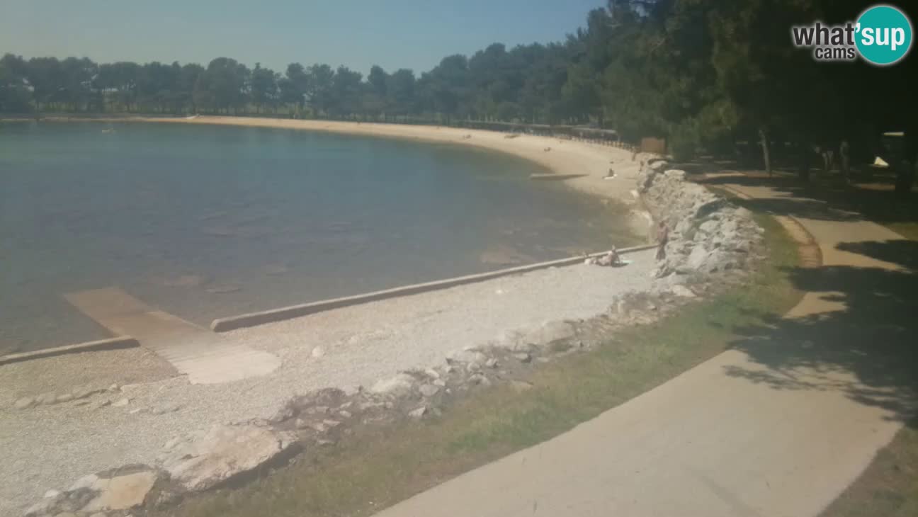 Novigrad – Plage Karpinjan