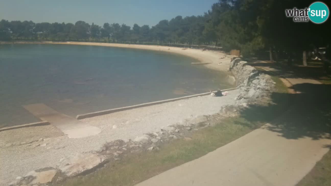 Novigrad – Strand Karpinjan webcam