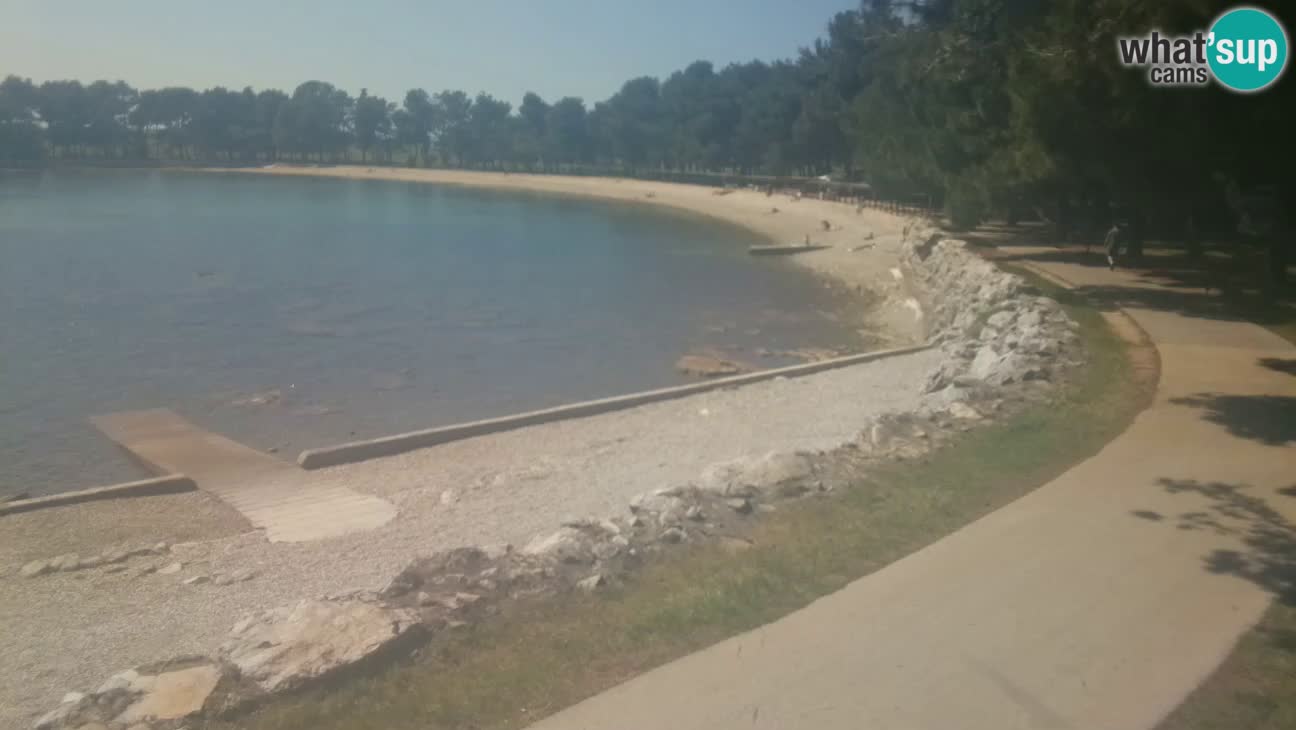Novigrad live cam – Karpinjan beach