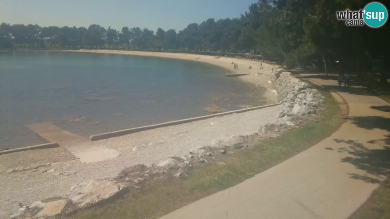 Novigrad – Plage Karpinjan