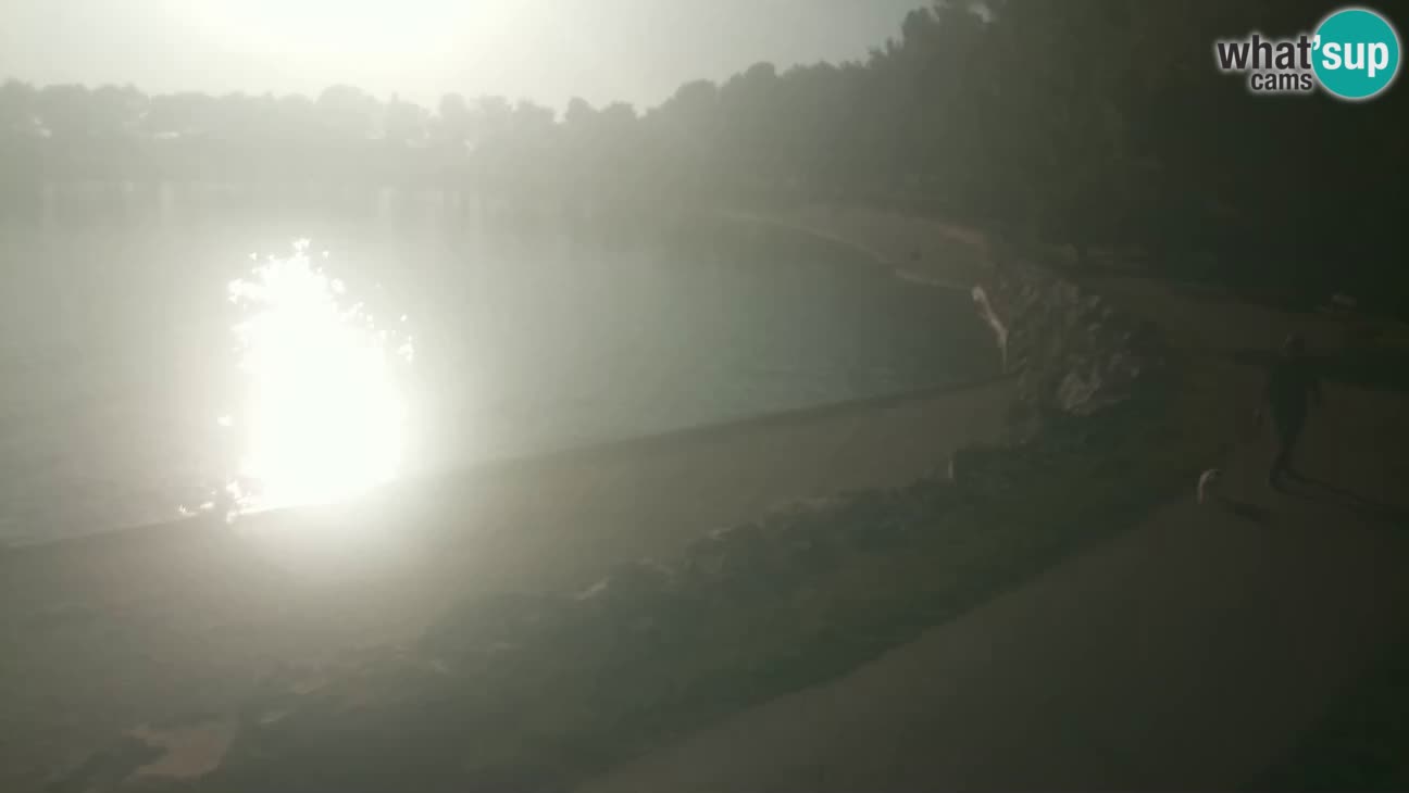 Novigrad live cam – Karpinjan beach