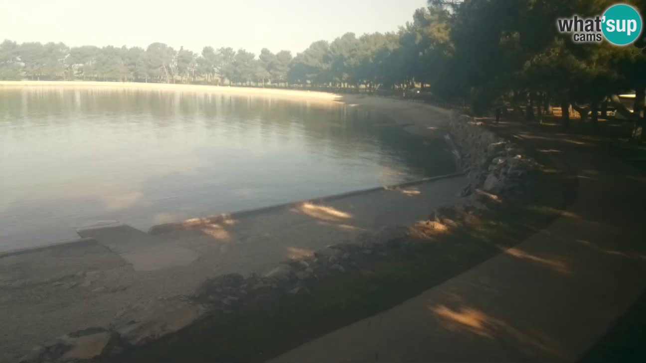 Novigrad – Plaža Karpinjan