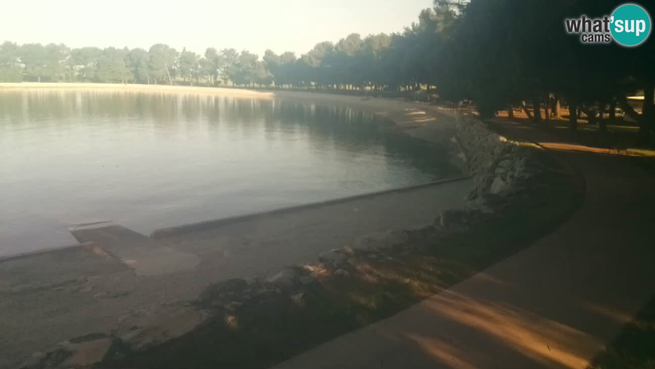 Novigrad – Strand Karpinjan webcam