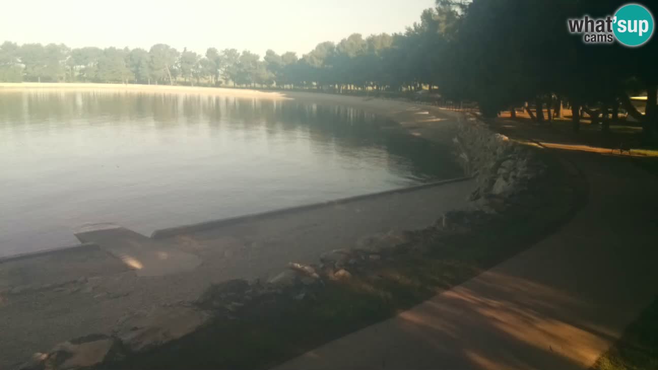 Novigrad live cam – Karpinjan beach