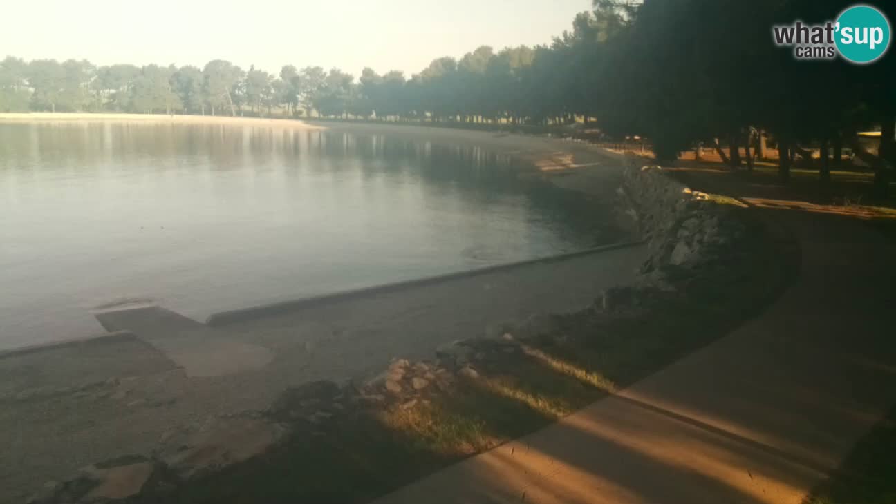 Novigrad – Plage Karpinjan