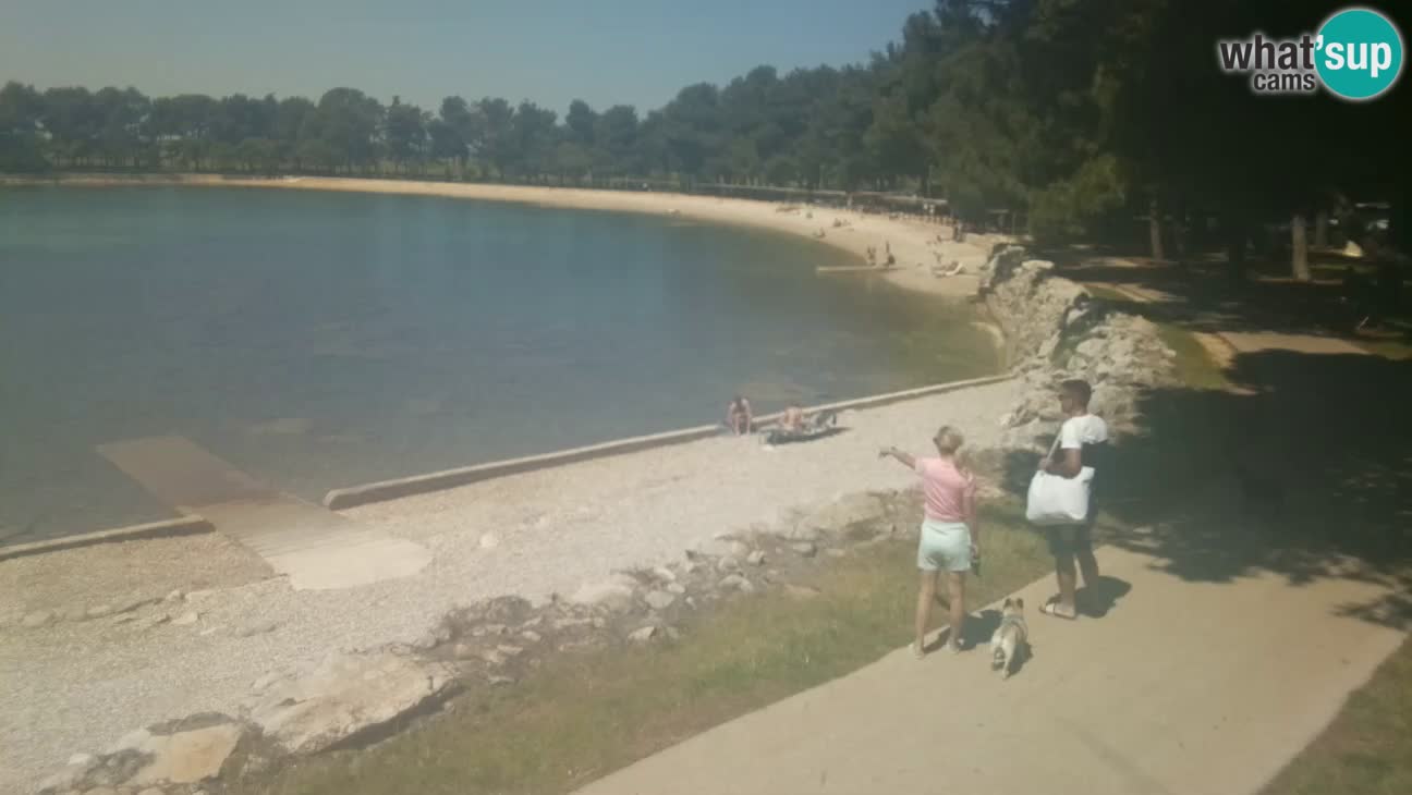 Novigrad – Plage Karpinjan