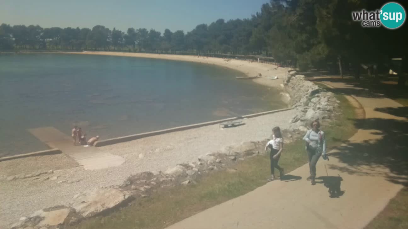 Novigrad – Plage Karpinjan