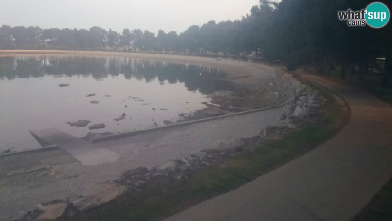 Novigrad – Playa Karpinjan