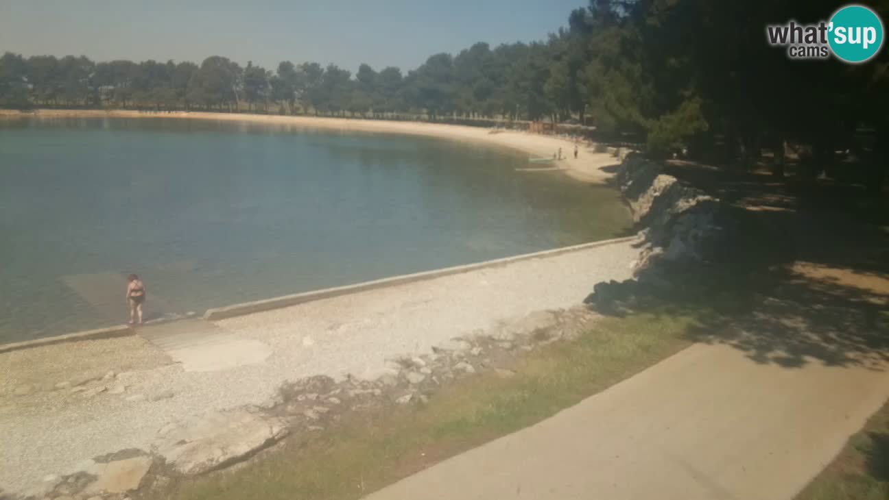 Novigrad – Playa Karpinjan