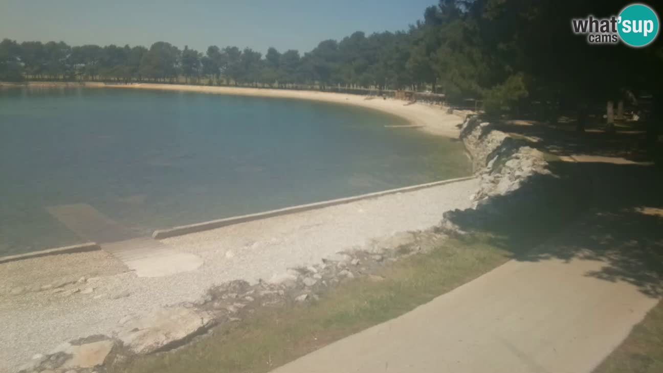 Novigrad live cam – Karpinjan beach