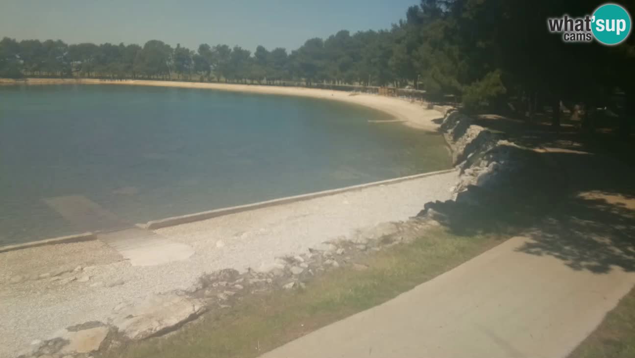 Novigrad – Plaža Karpinjan