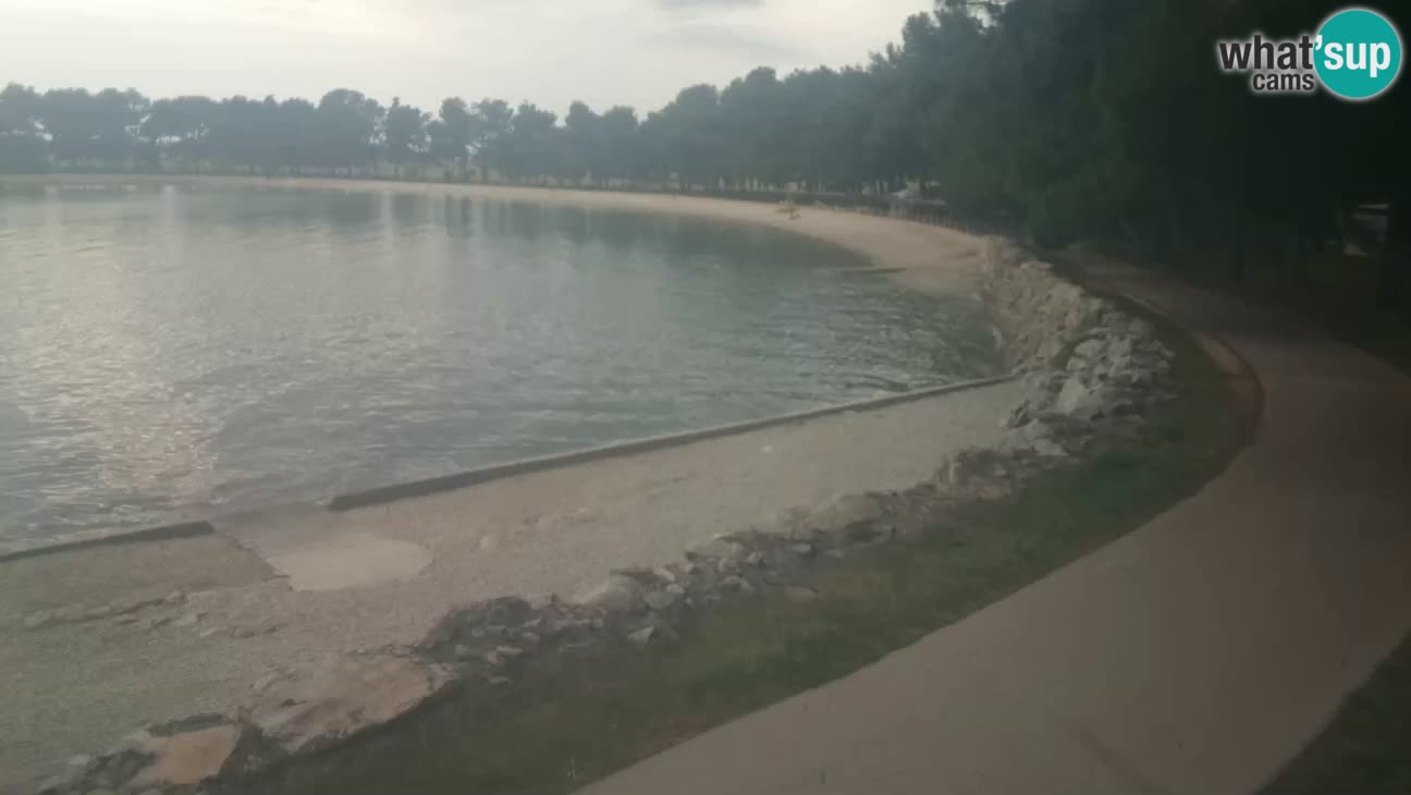 Novigrad – Playa Karpinjan