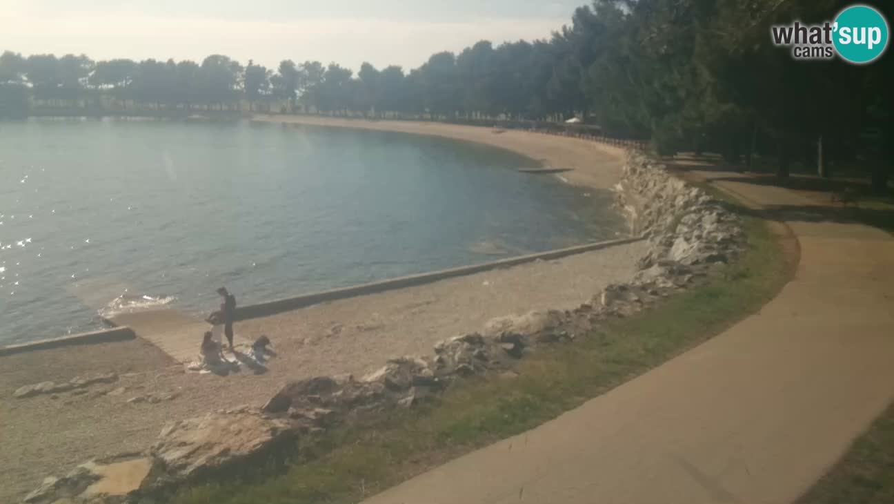 Novigrad – Plaža Karpinjan