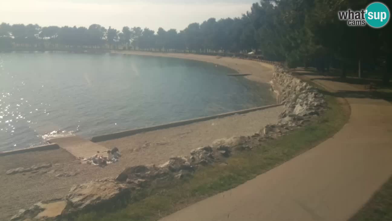 Novigrad – Strand Karpinjan webcam