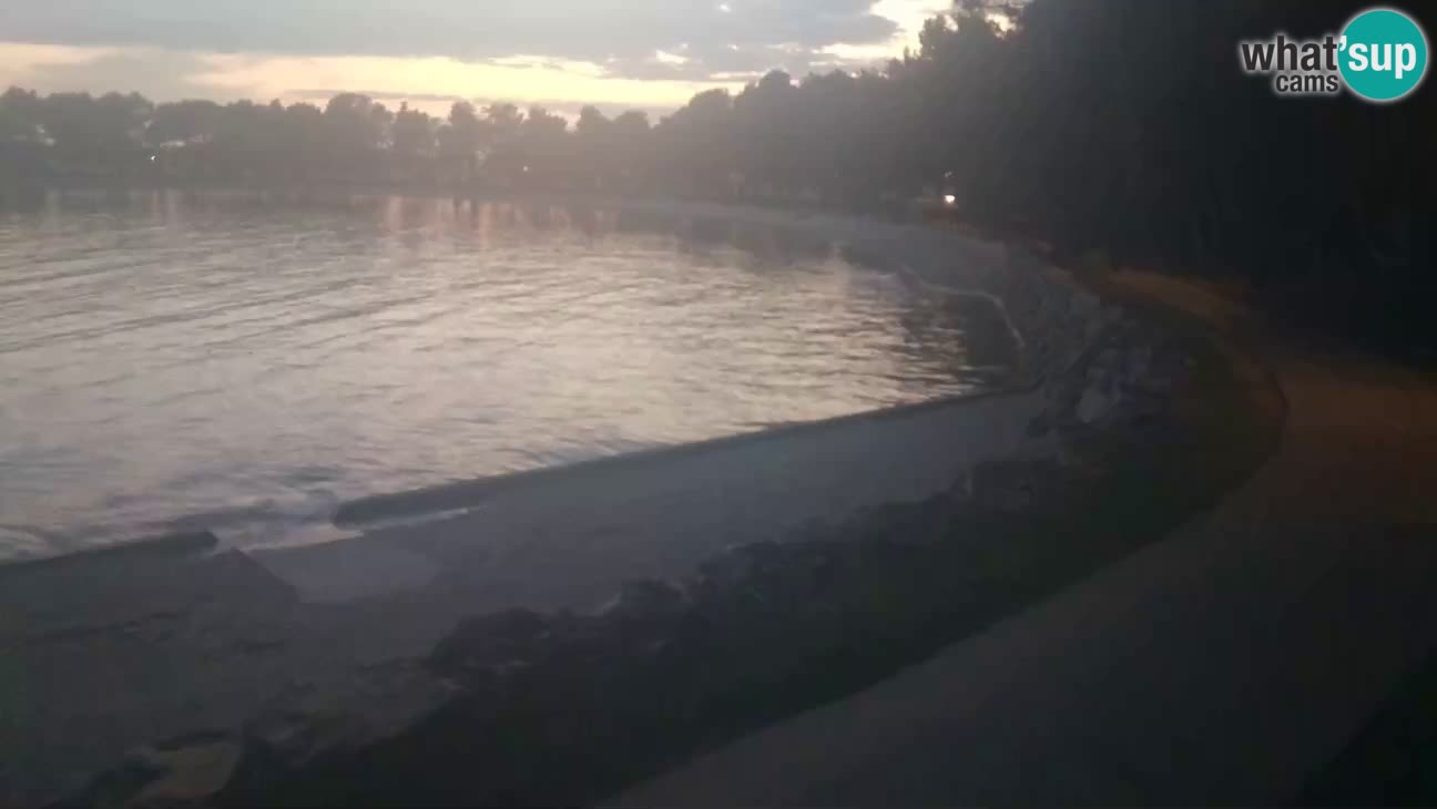Novigrad live cam – Karpinjan beach