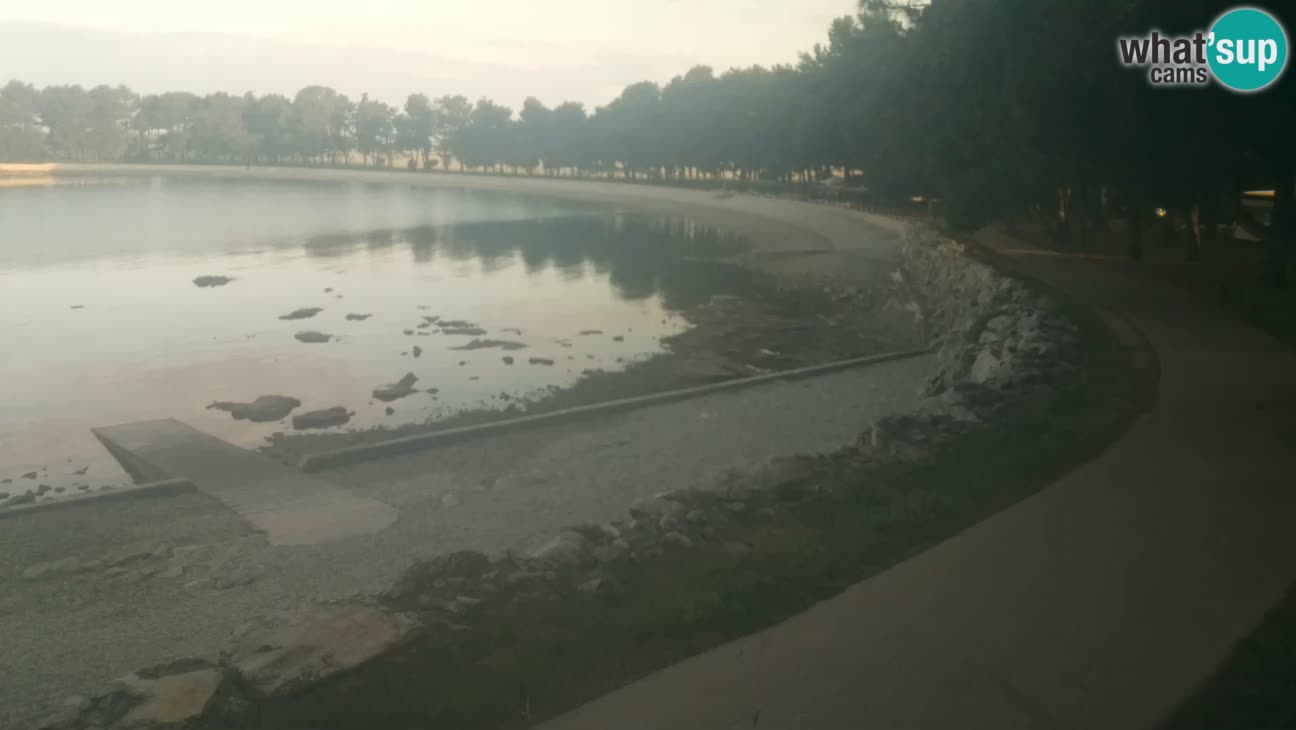 Novigrad – Plaža Karpinjan