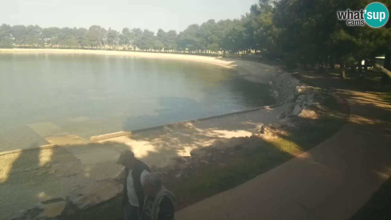 Novigrad live cam – Karpinjan beach