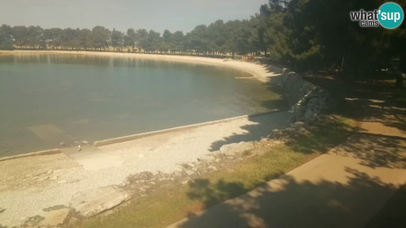 Novigrad – Plaža Karpinjan