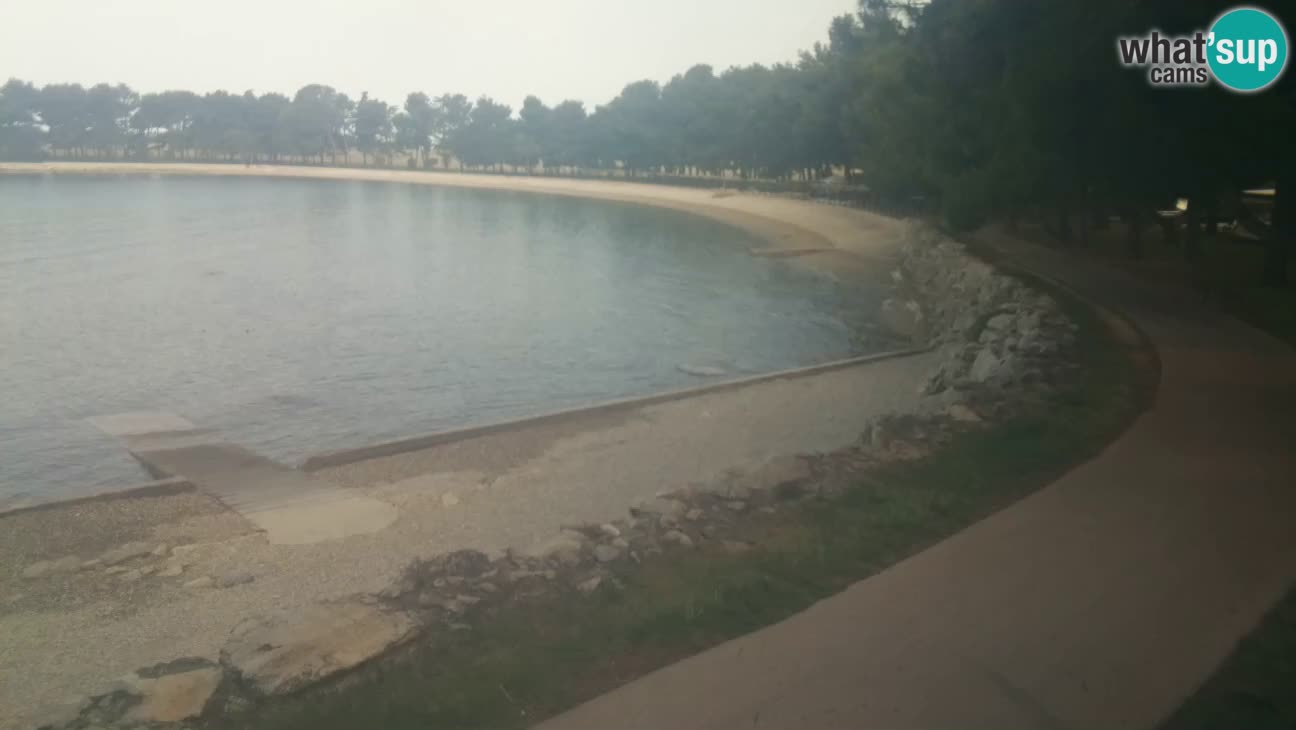 Novigrad – Plage Karpinjan