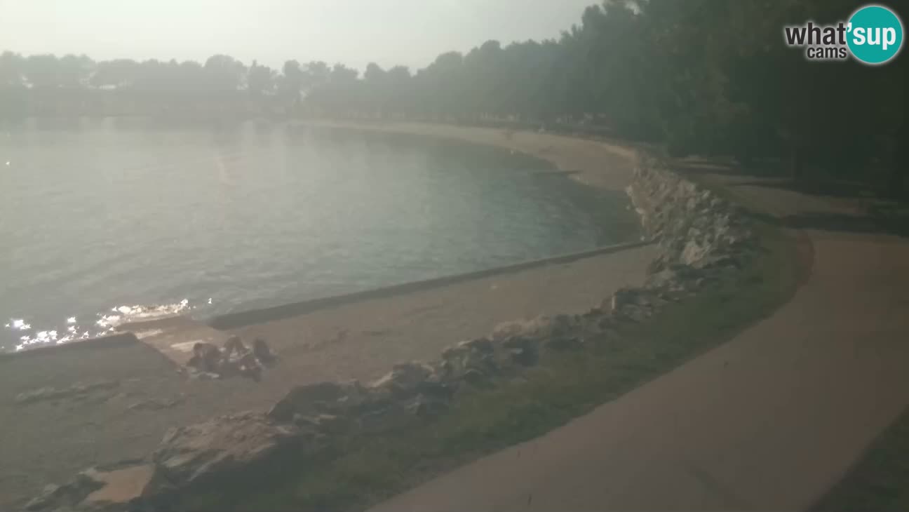 Novigrad live cam – Karpinjan beach