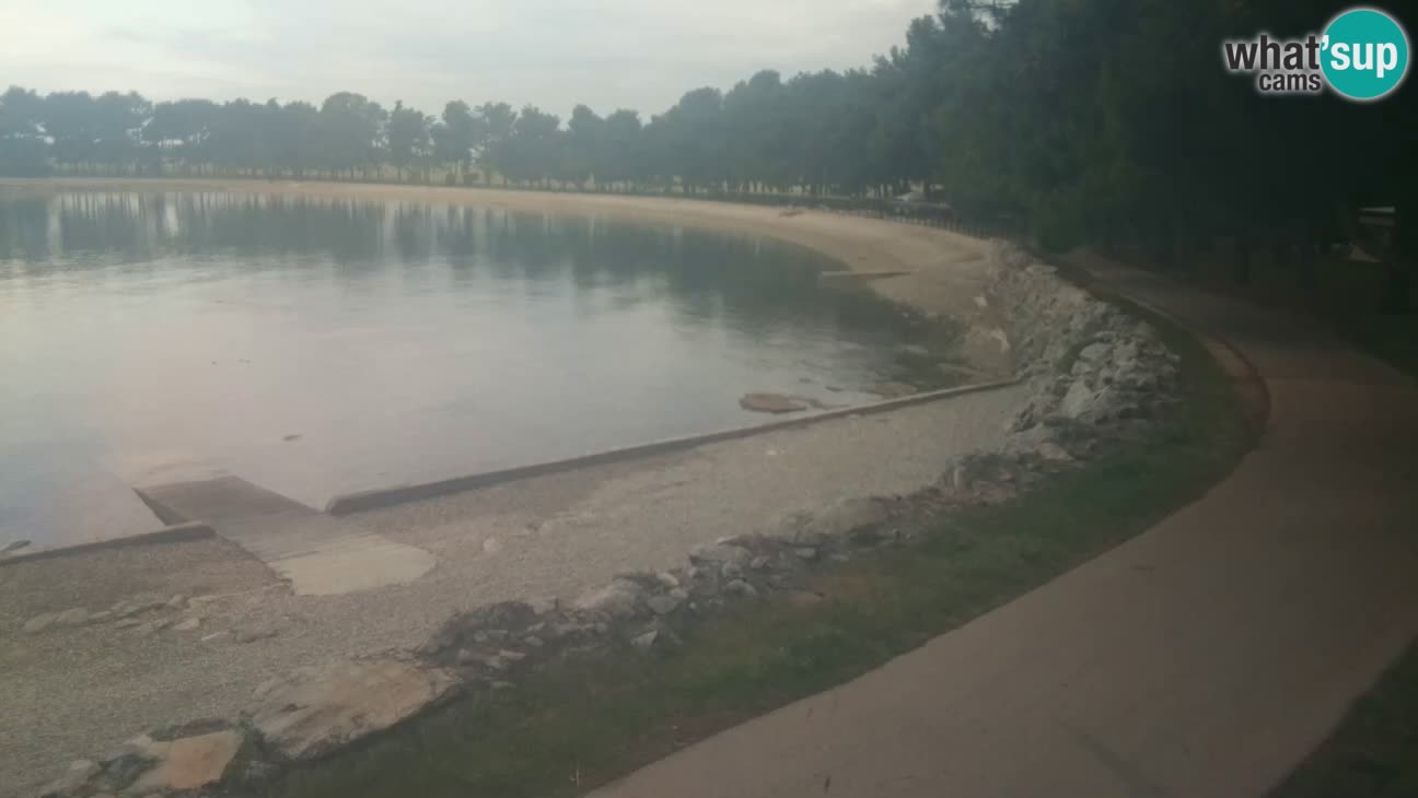 Novigrad – Plaža Karpinjan