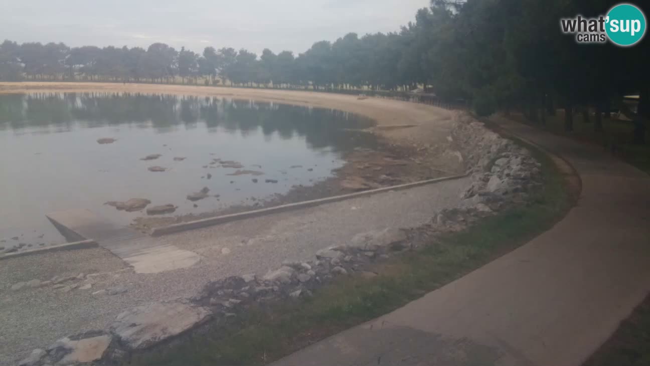 Novigrad – Plage Karpinjan