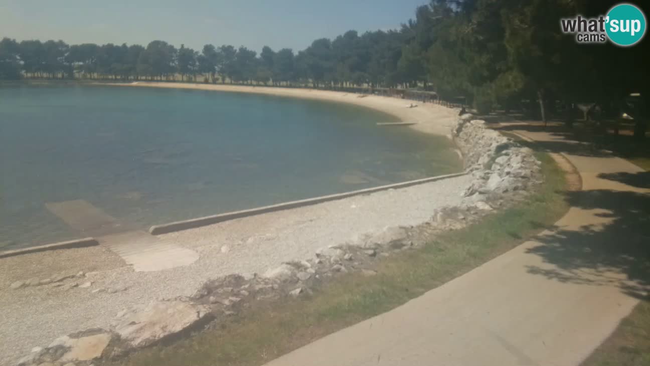 Novigrad live cam – Karpinjan beach