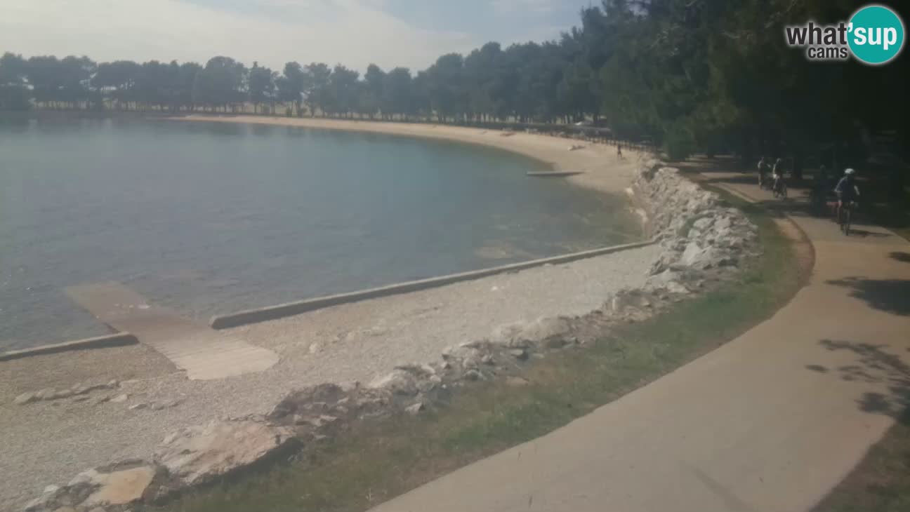 Novigrad – Plaža Karpinjan