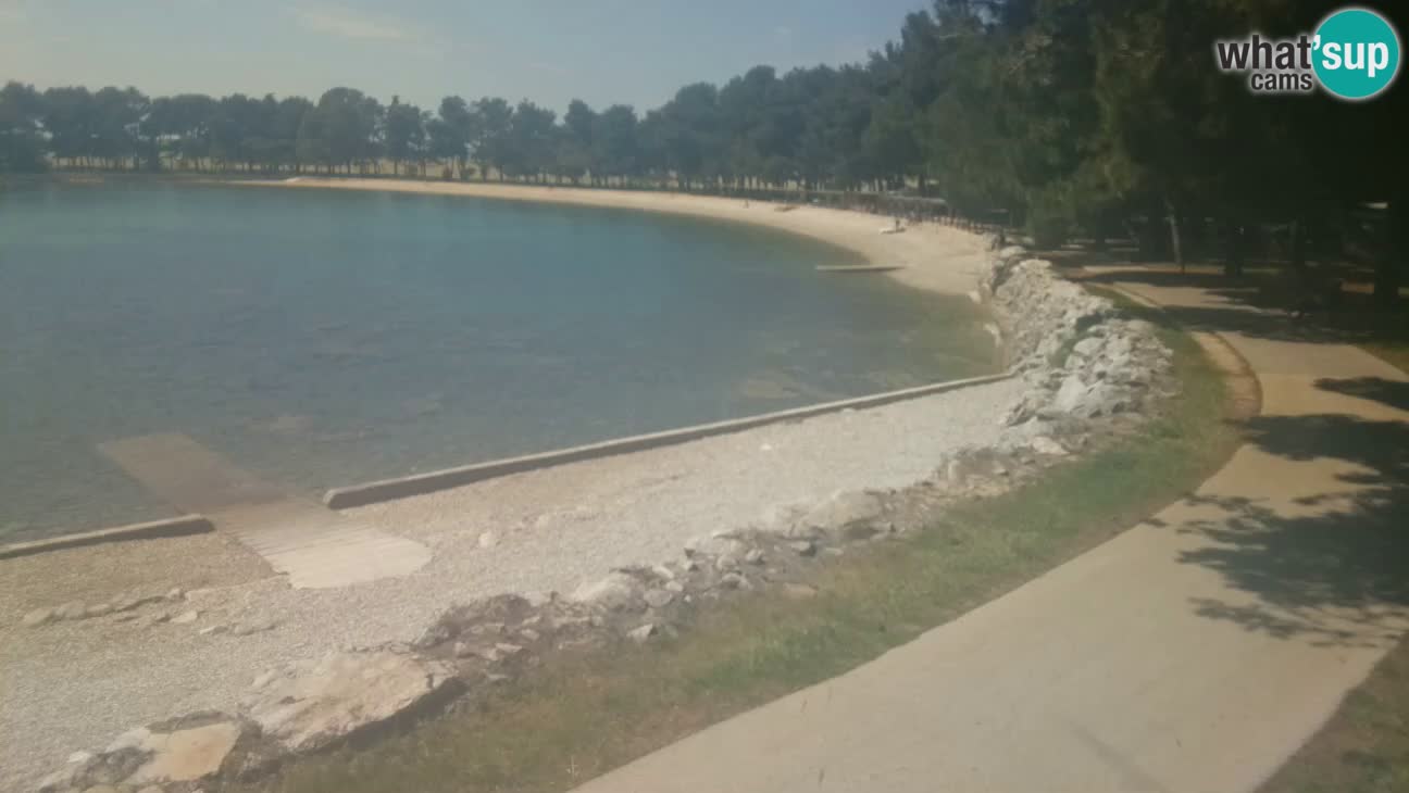 Novigrad – Plage Karpinjan