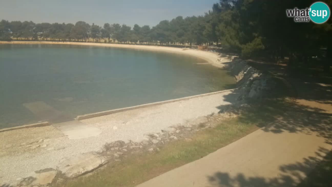 Novigrad – Plaža Karpinjan