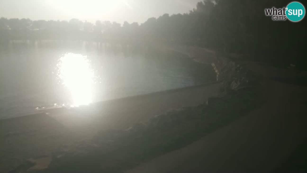 Novigrad – Strand Karpinjan webcam