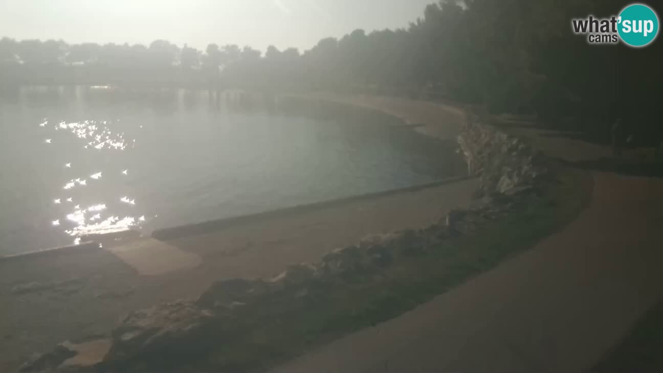 Novigrad – Plaža Karpinjan
