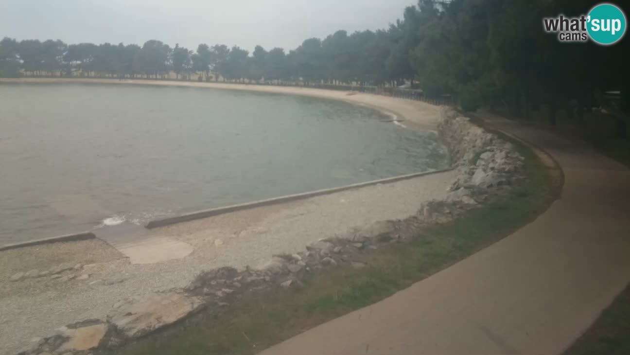 Cittanova – Spiaggia Karpinjan