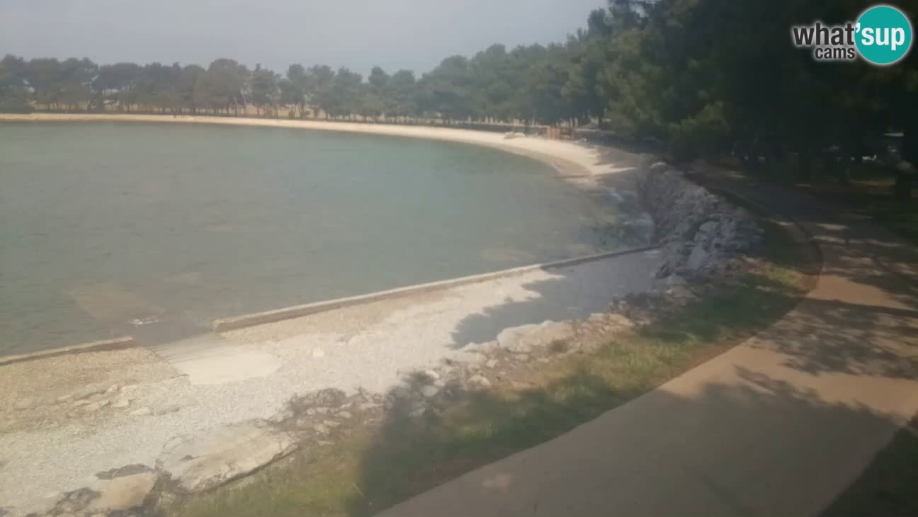 Novigrad live cam – Karpinjan beach
