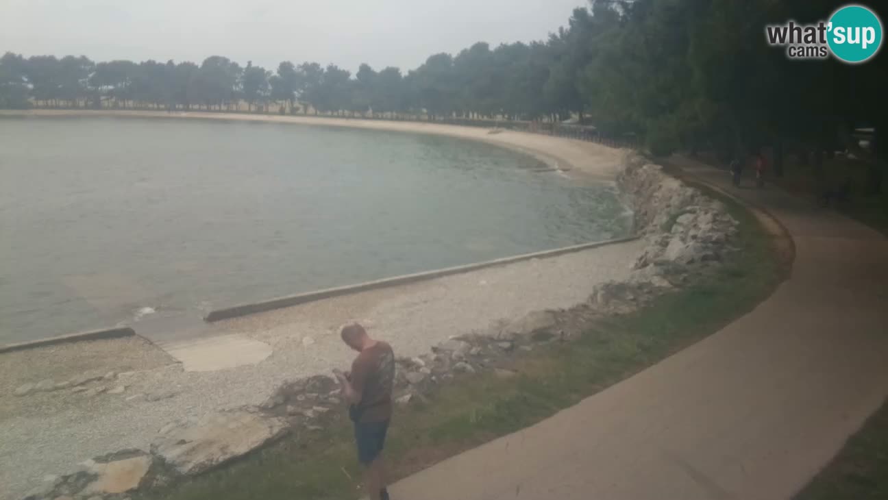 Novigrad – Plaža Karpinjan